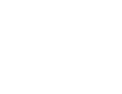 A white bird against a black background in the jungle.