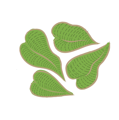 Four green leaves in a jungle setting.