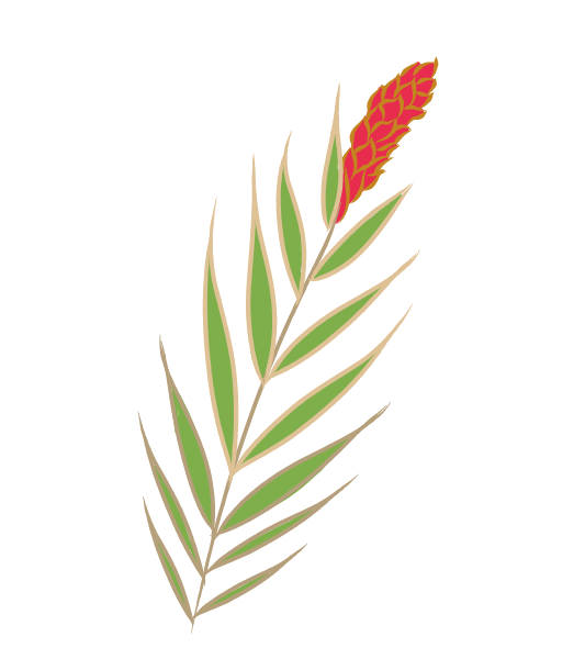 A leaf with a red flower on it in a jungle.