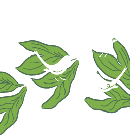 Three white birds perched on a branch with green leaves, creating a peaceful and picturesque scene.