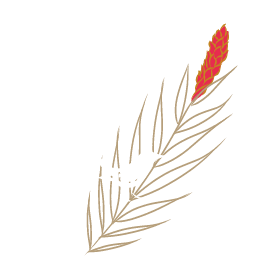 A bird perched on a palm leaf, capturing the essence of tropical vibes and vacation promos.
