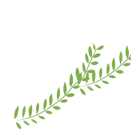 Two birds perched on a branch with green leaves, showcasing promotional offers.