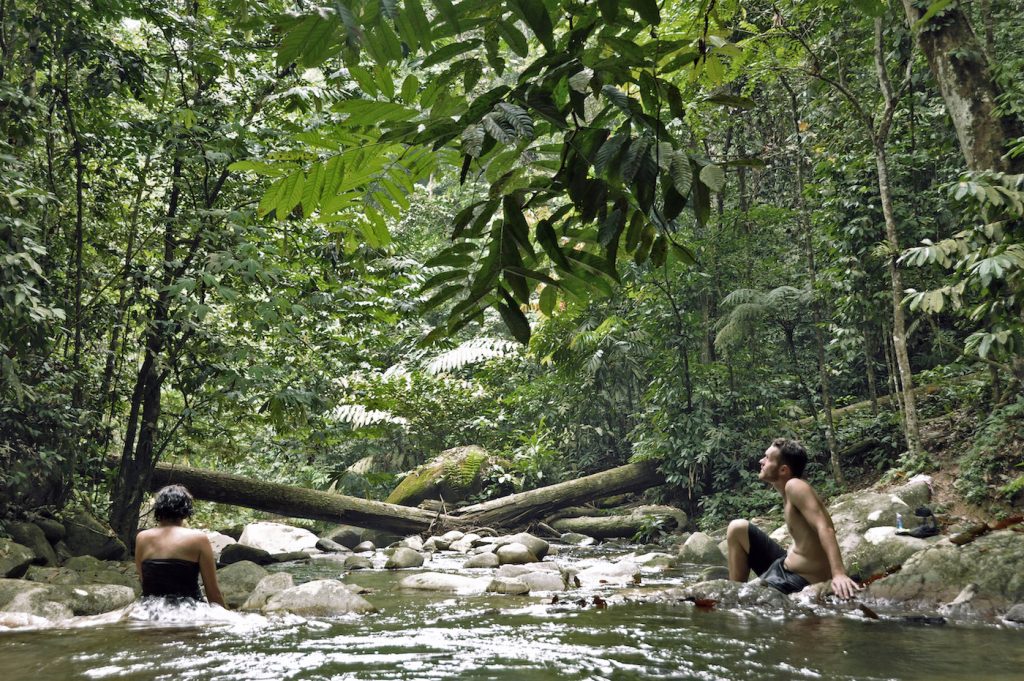 A man and a woman sitting at the top of a waterfall looking up into the trees